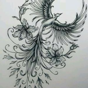 Meet your Posher, Liliana